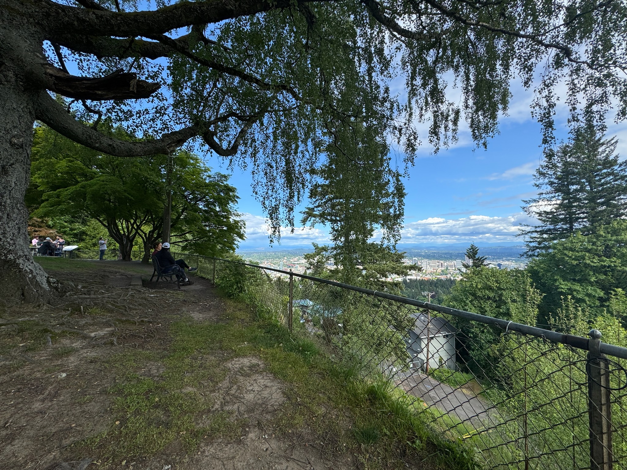 A scenic viewpoint with people sitting under large trees, overlooking a city and mountains in the distance; a chain-link fence runs along the edge of the overlook.