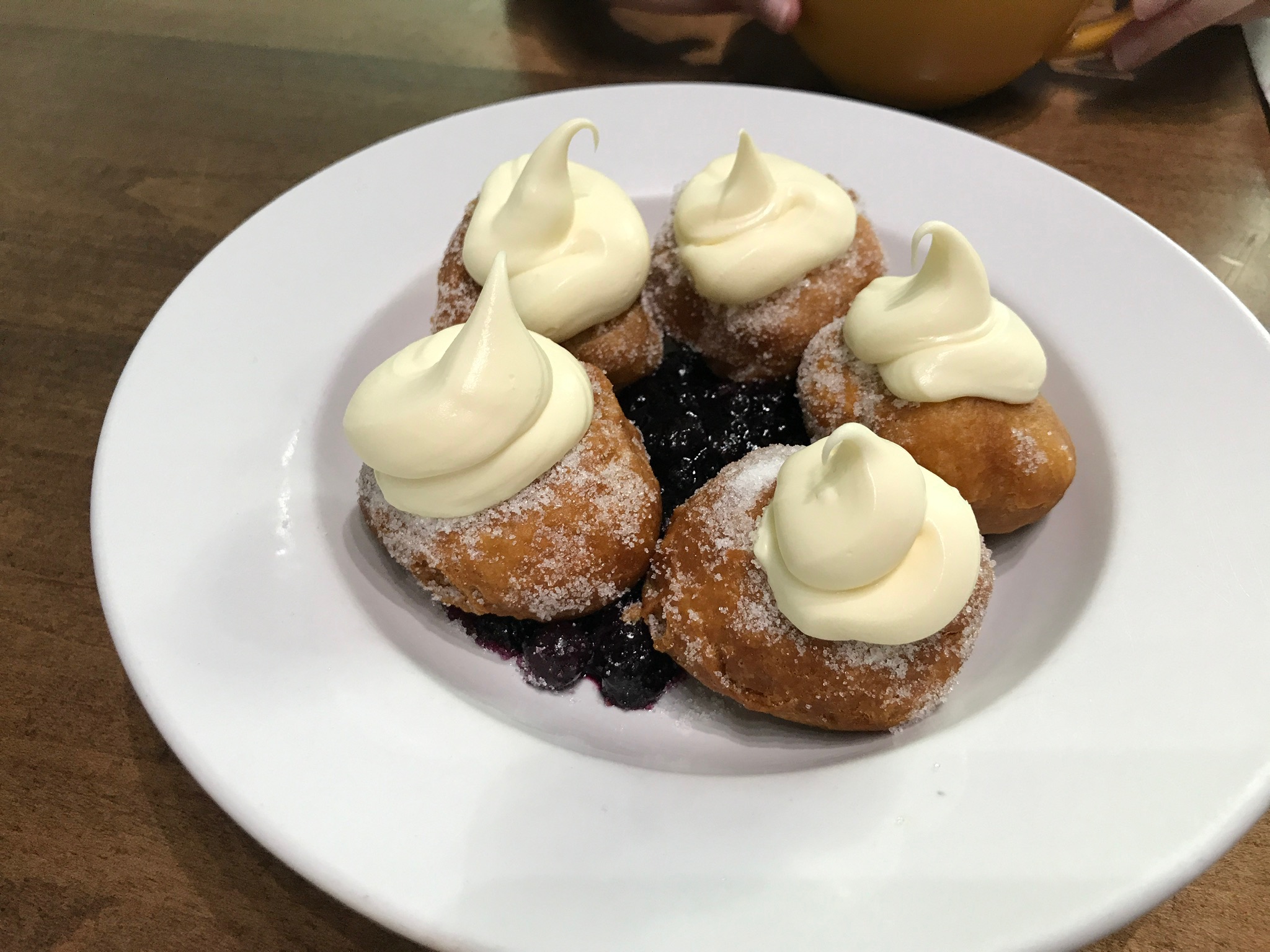 Five sugar-dusted doughnuts topped with cream are arranged on a white plate with a blueberry sauce beneath them; a person's hands are visible at the top of the image.