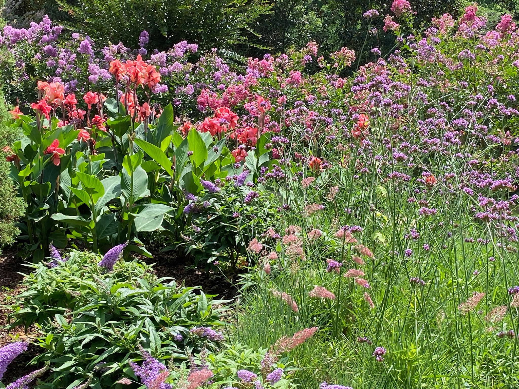 A garden with various blooming flowers in shades of pink, purple, and red, surrounded by green foliage under bright sunlight.