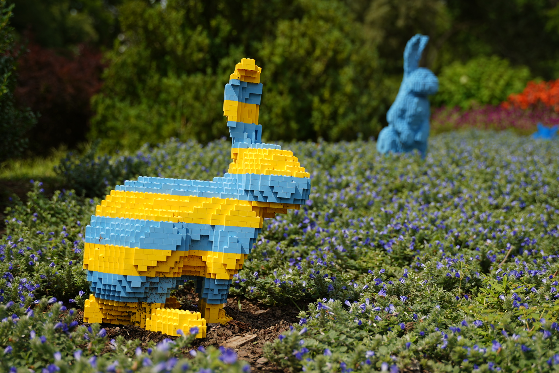 A yellow and blue LEGO rabbit sculpture sits on a field of low purple flowers, with another blue LEGO rabbit in the background.