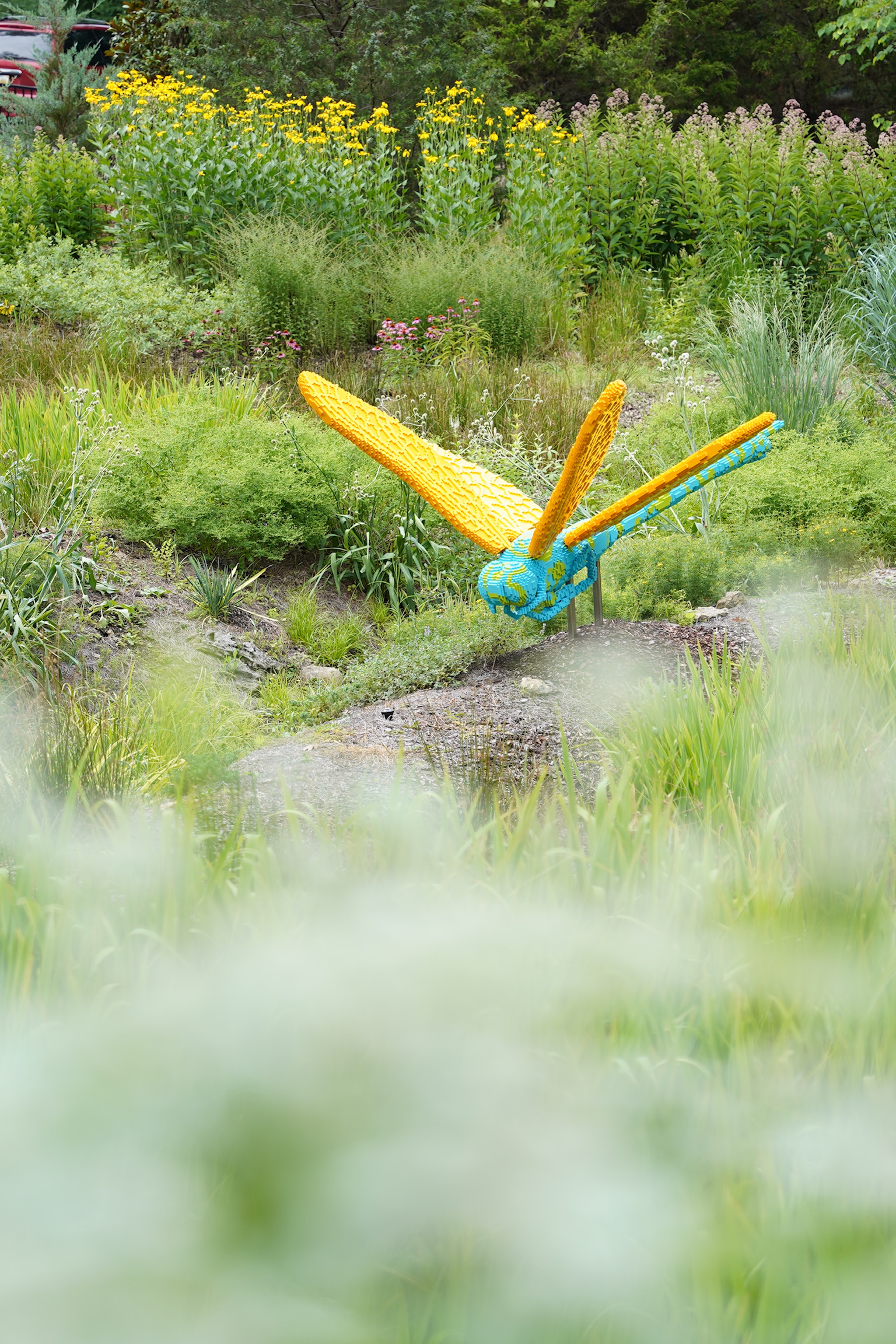 A large yellow and blue dragonfly sculpture is displayed outdoors amid green plants and wildflowers.