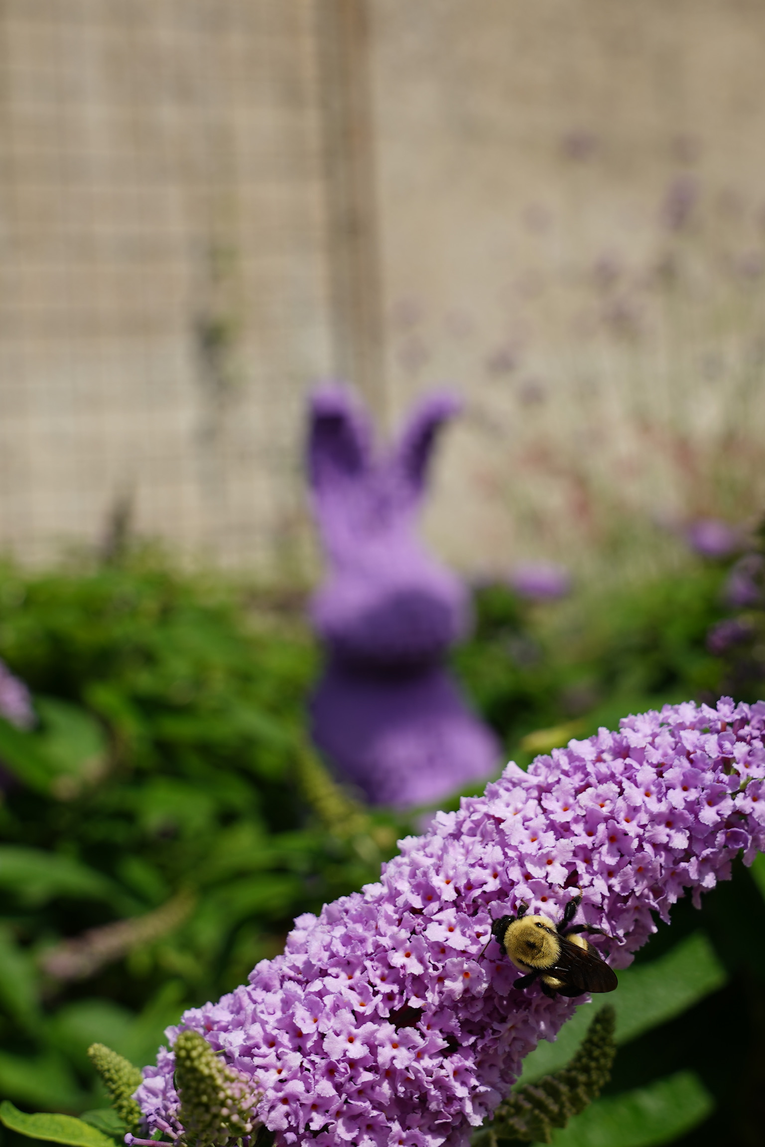 A bumblebee sits on a purple flower in the foreground, with a blurred purple bunny sculpture visible in the background among green foliage.