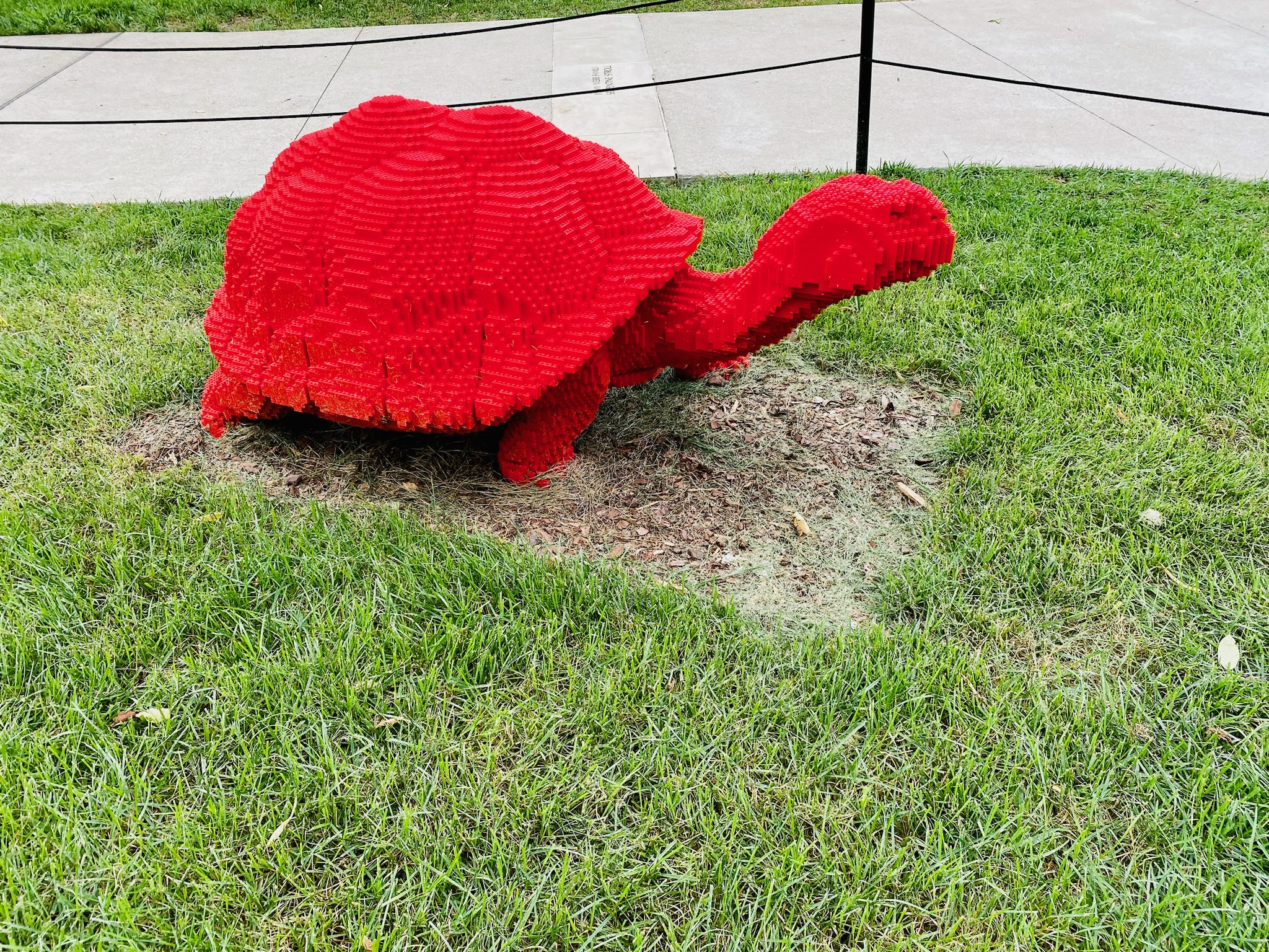 A large red tortoise sculpture made of LEGO bricks is displayed on a patch of dirt surrounded by grass and bordered by a sidewalk.