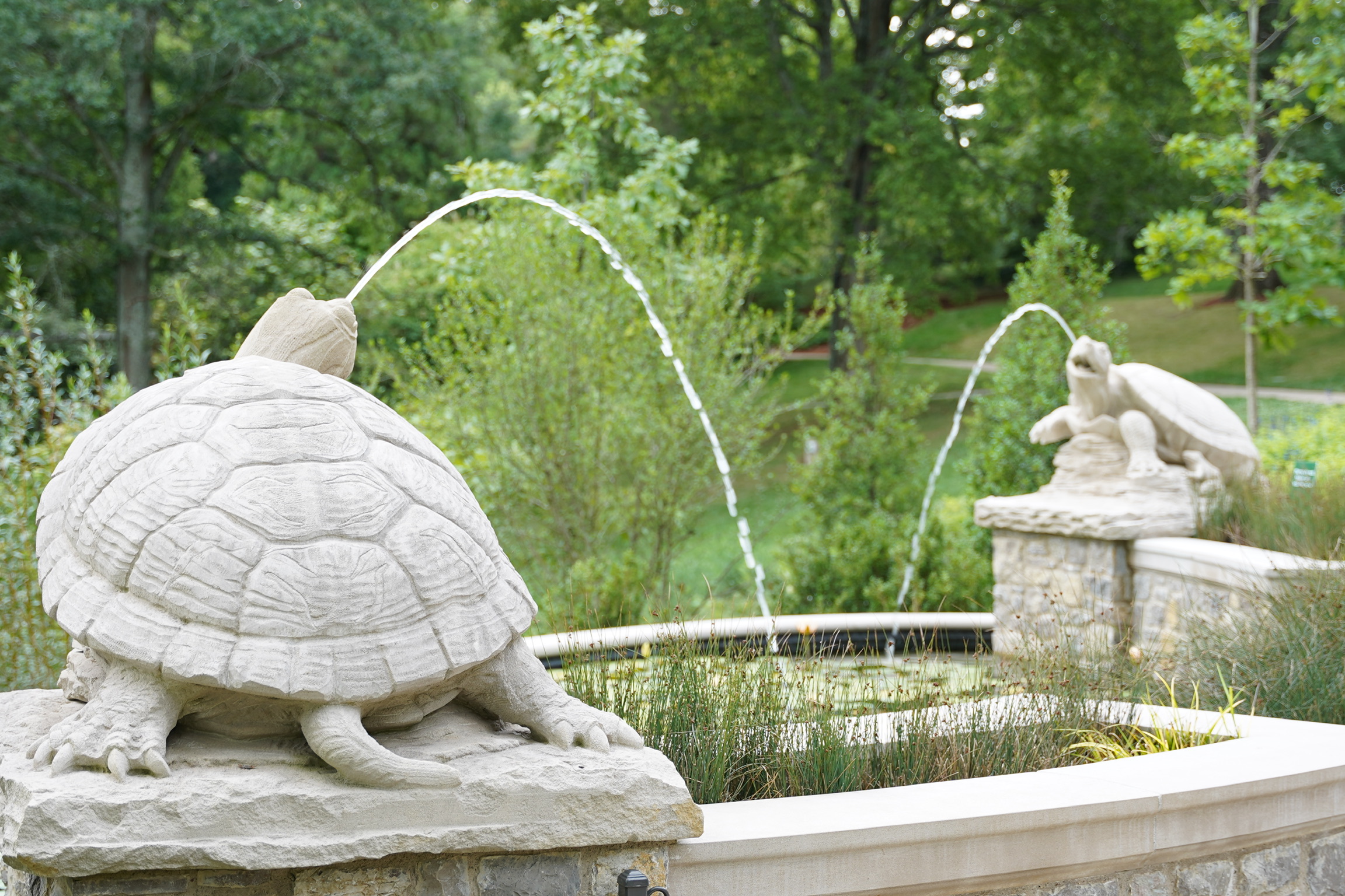 Two stone turtle sculptures on a fountain, each spouting arcs of water from their mouths, surrounded by greenery in a landscaped outdoor setting.