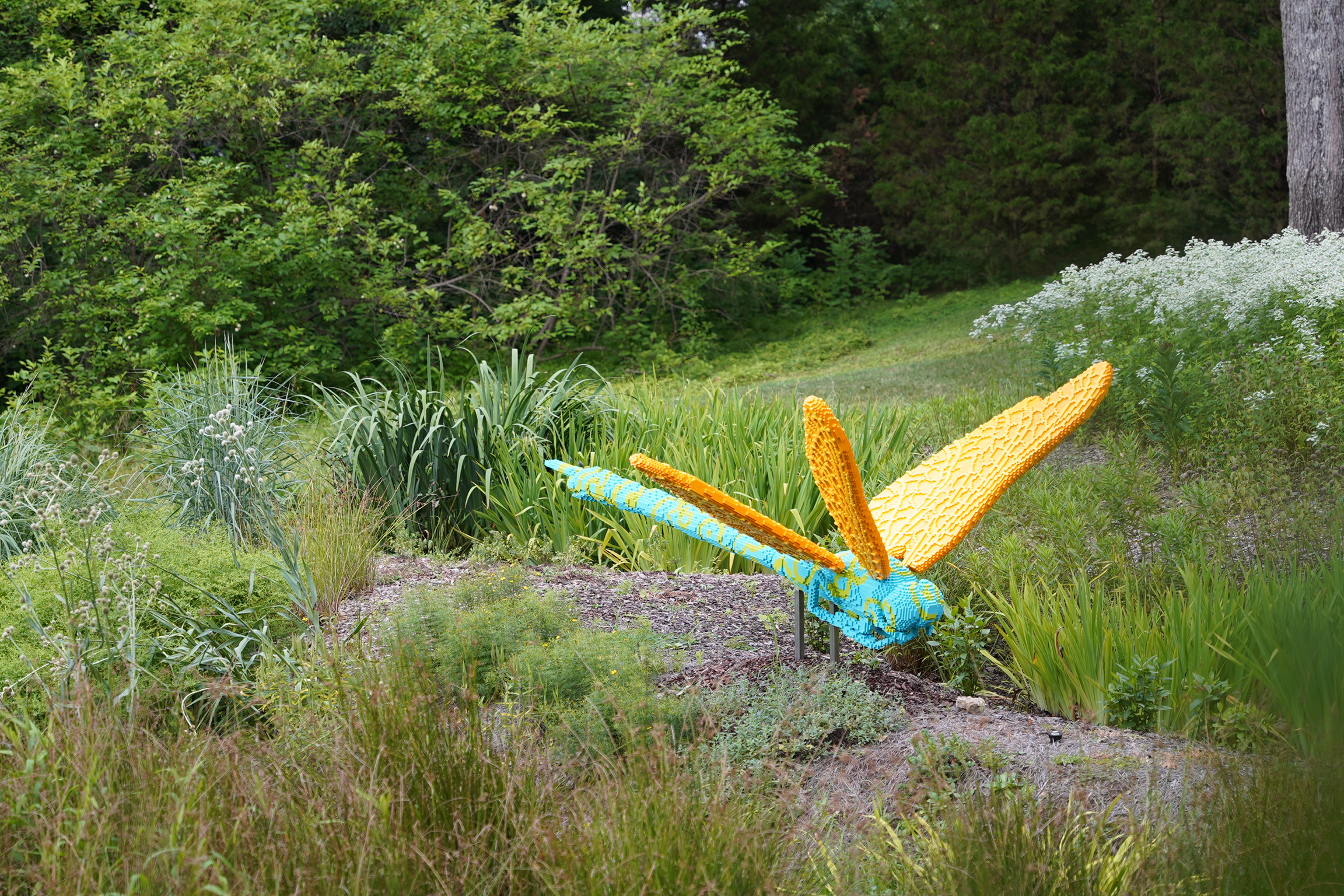 A large dragonfly sculpture made of yellow and blue LEGO bricks is displayed among plants and greenery in an outdoor garden.