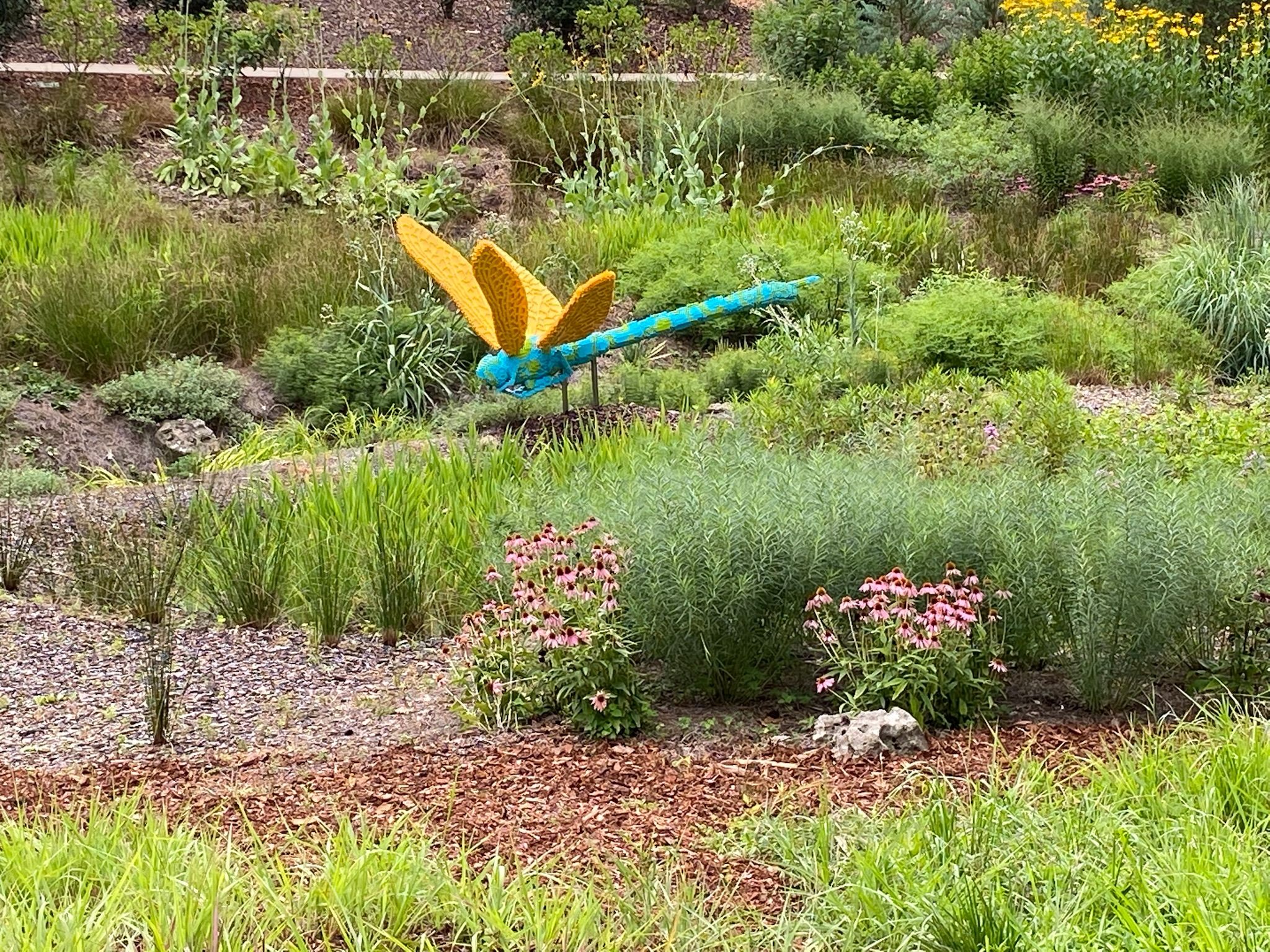 A large, colorful dragonfly sculpture is displayed in a landscaped garden with various green plants and pink flowers.