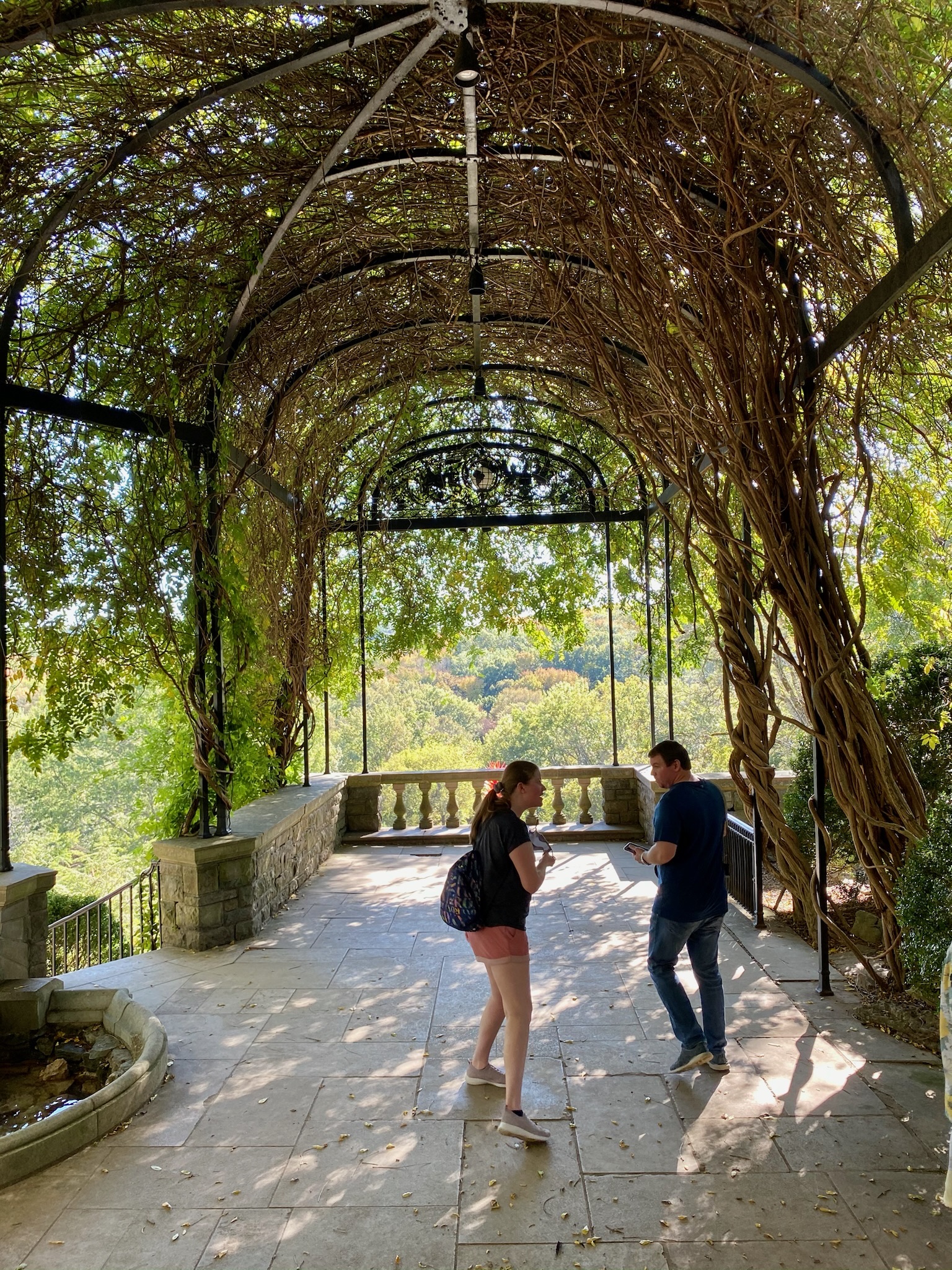 Two people stand under a leafy, vine-covered pergola on a stone terrace in Nashville, surrounded by greenery and looking out over a scenic view.
