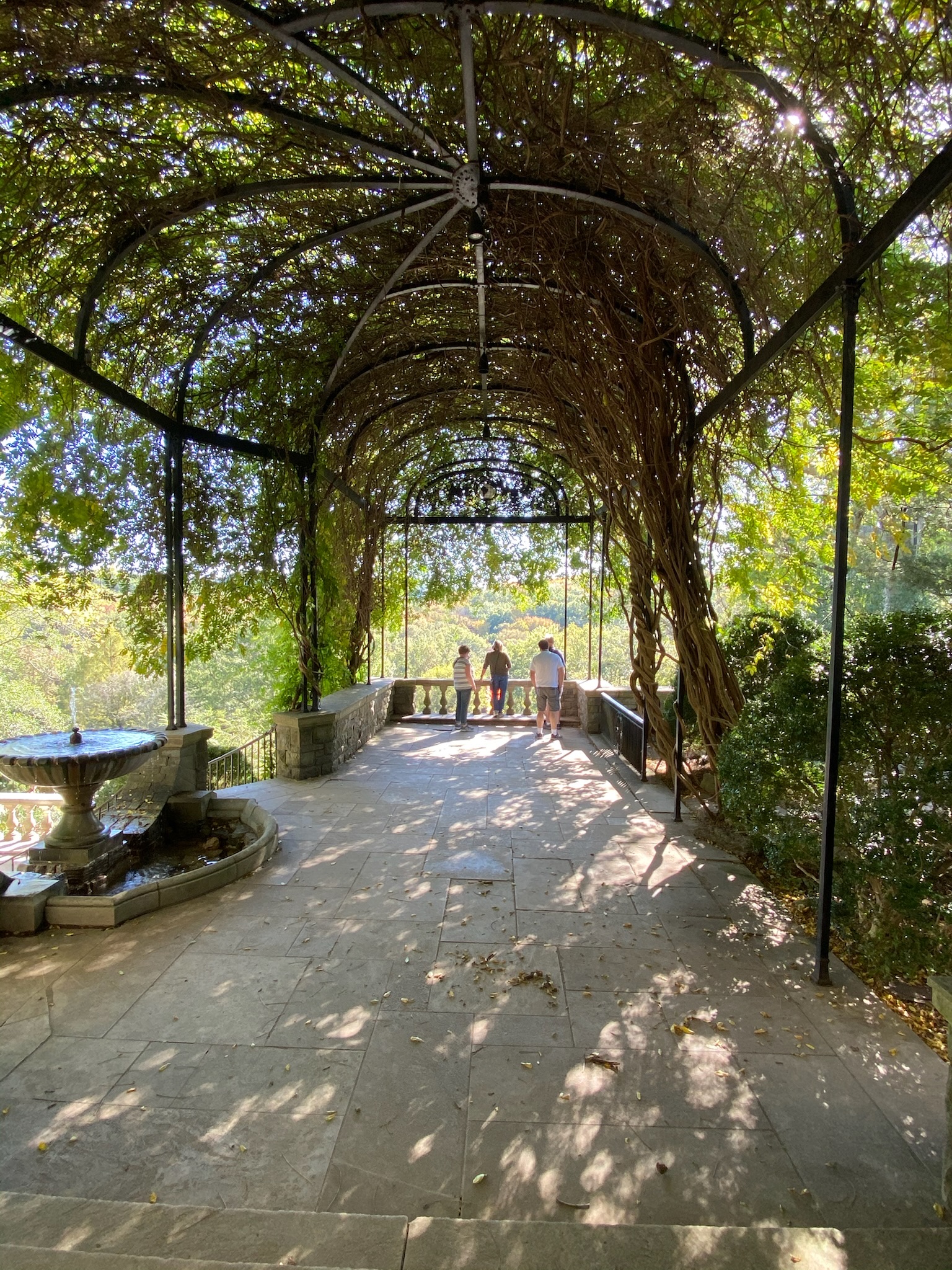 A stone walkway in Nashville, covered by a leafy arched trellis, with a fountain on the left and several people at the far end gazing out over a scenic view.
