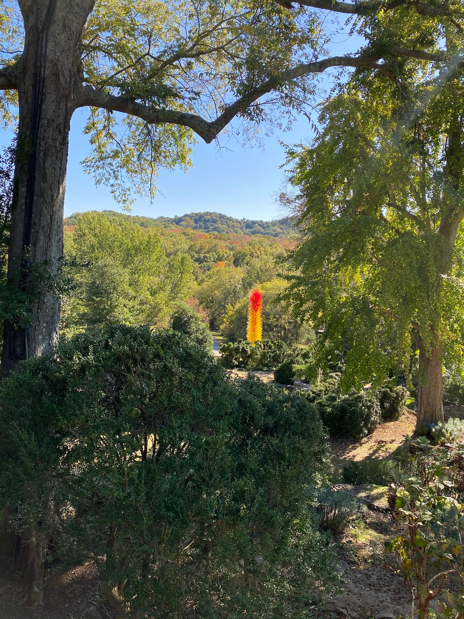 A garden in Nashville with dense green bushes and tall trees under a clear sky; a tall yellow and red glass sculpture stands in the center background.