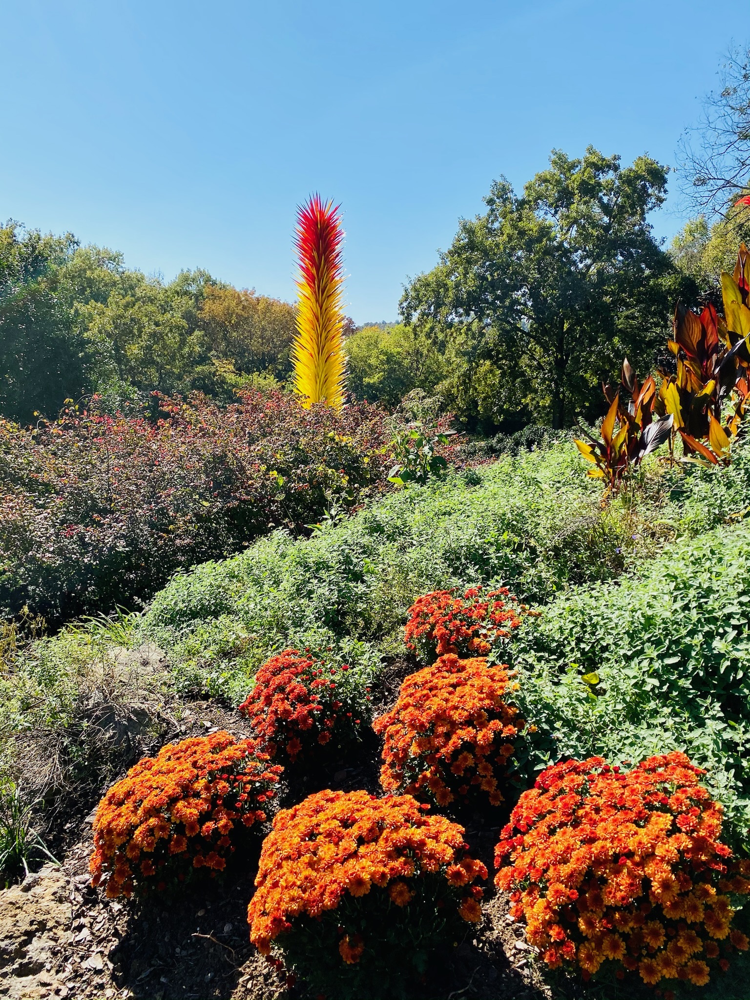 Orange and red chrysanthemum bushes in the foreground with a tall, yellow and red glass sculpture among Nashville greenery under a clear blue sky.