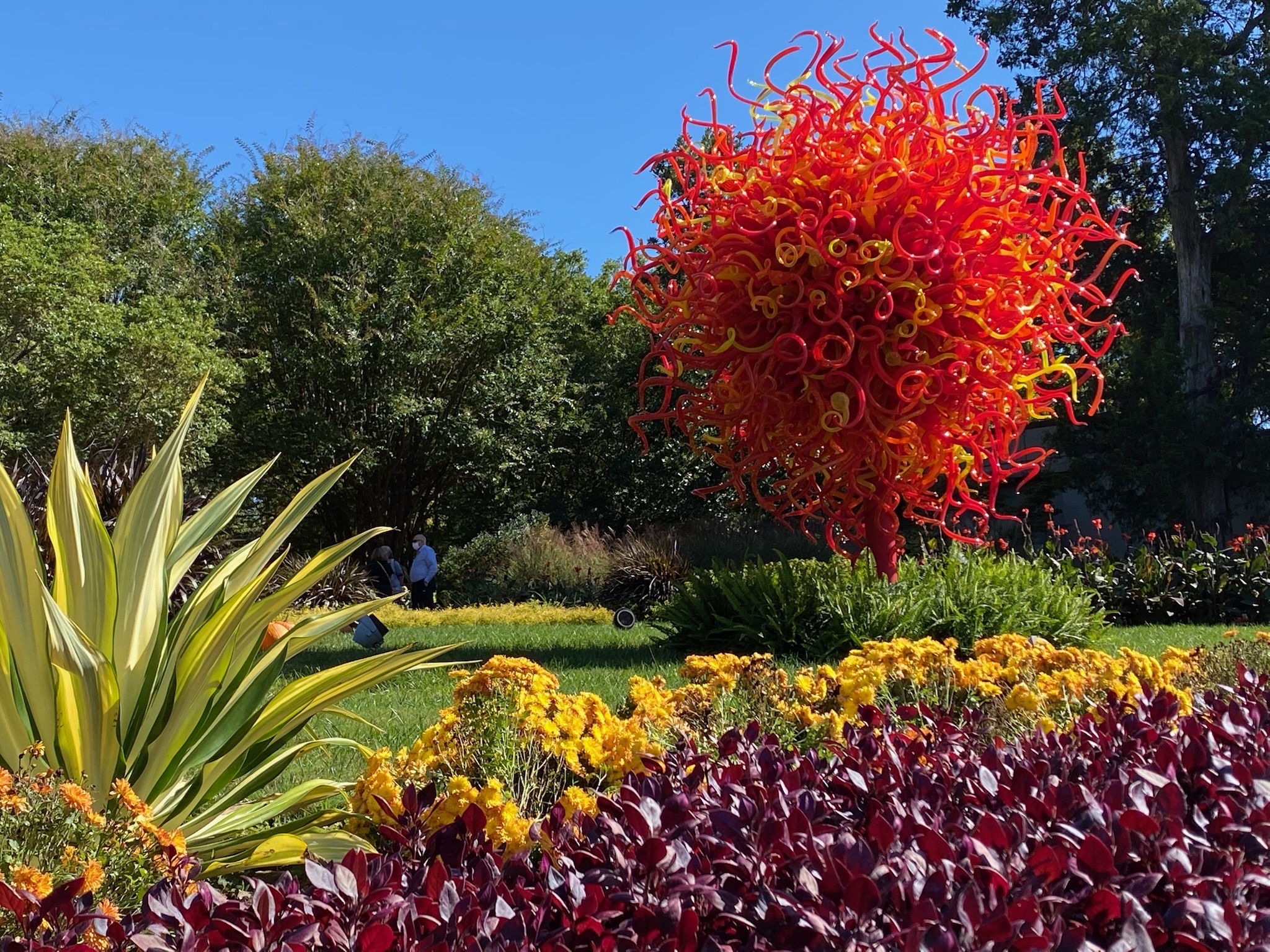 A large outdoor glass sculpture with swirling red and yellow tendrils stands in a Nashville garden, surrounded by flowering plants and green trees under a clear blue sky.