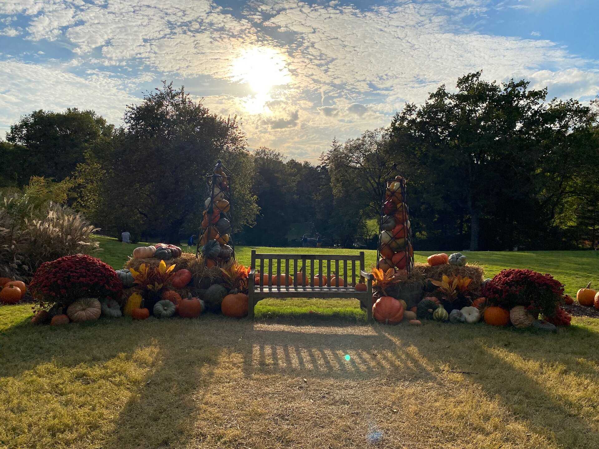 A wooden bench surrounded by pumpkins and flowers sits on a grassy field under a cloudy sky with the sun partially visible behind trees.