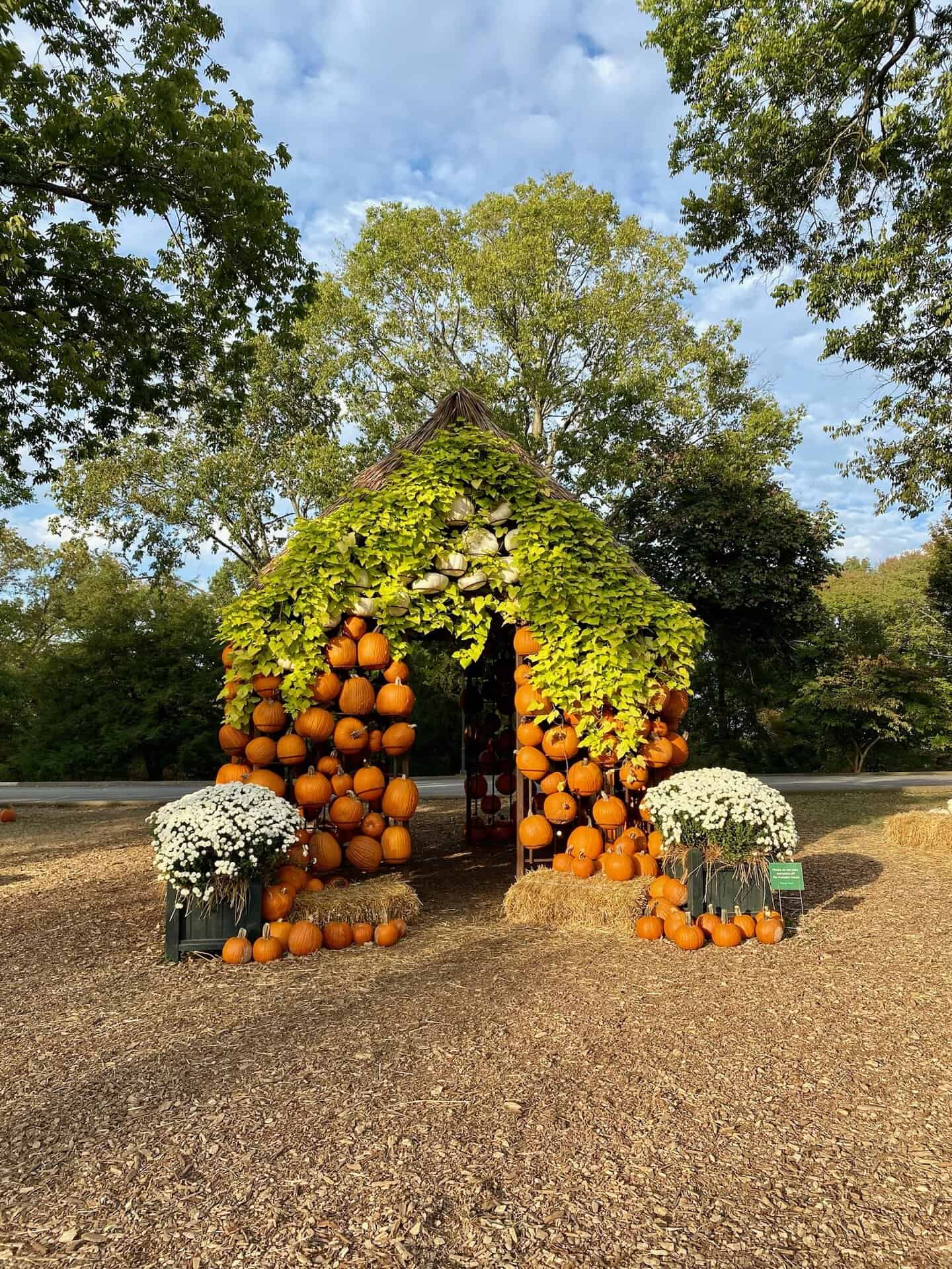 A harvest-themed structure made of pumpkins and greenery, with white flowers on both sides, under a blue sky with trees in the background.