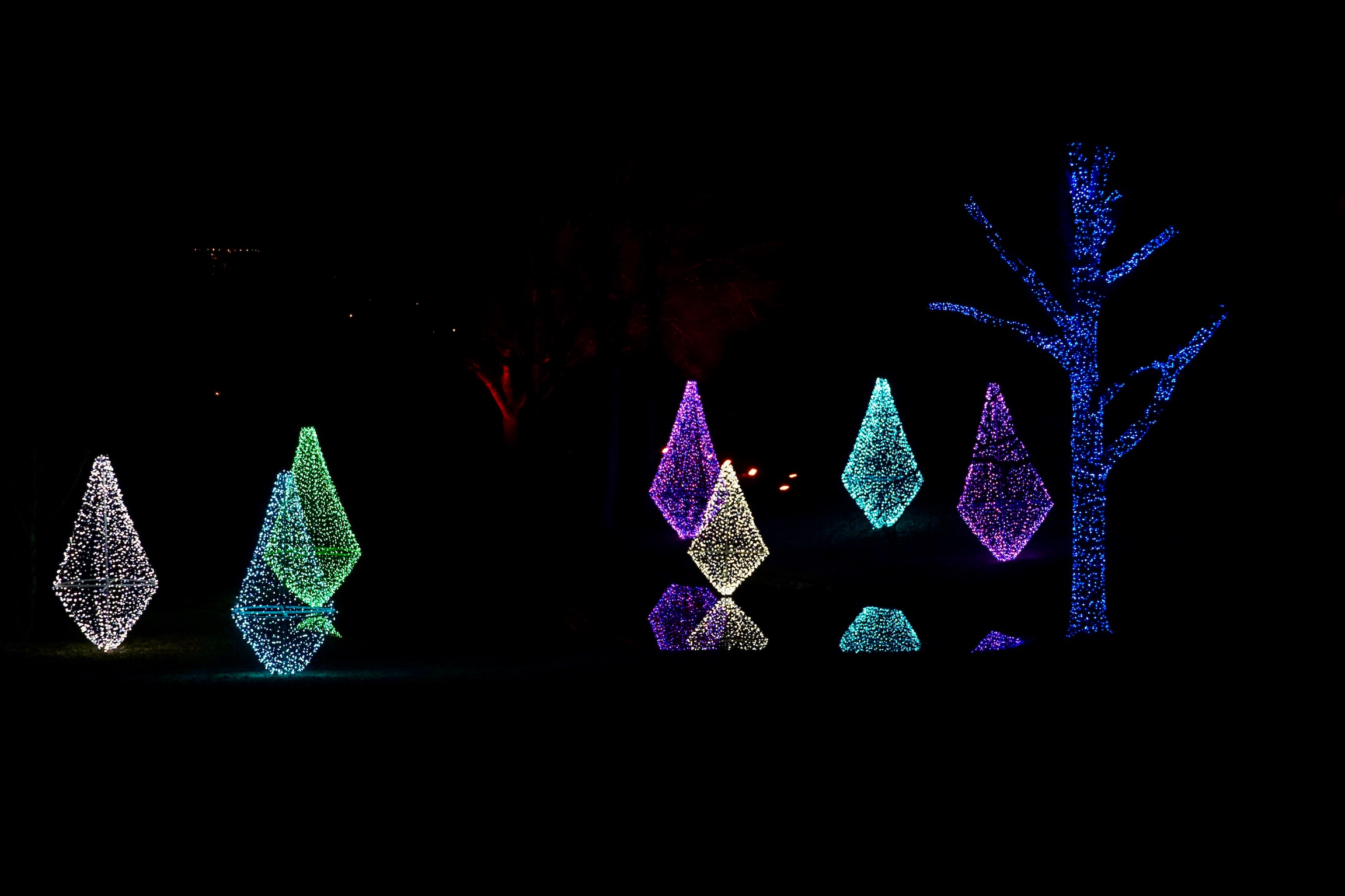 Colorful geometric light sculptures and a tree wrapped in blue lights illuminate a dark outdoor area, creating reflections on the ground.