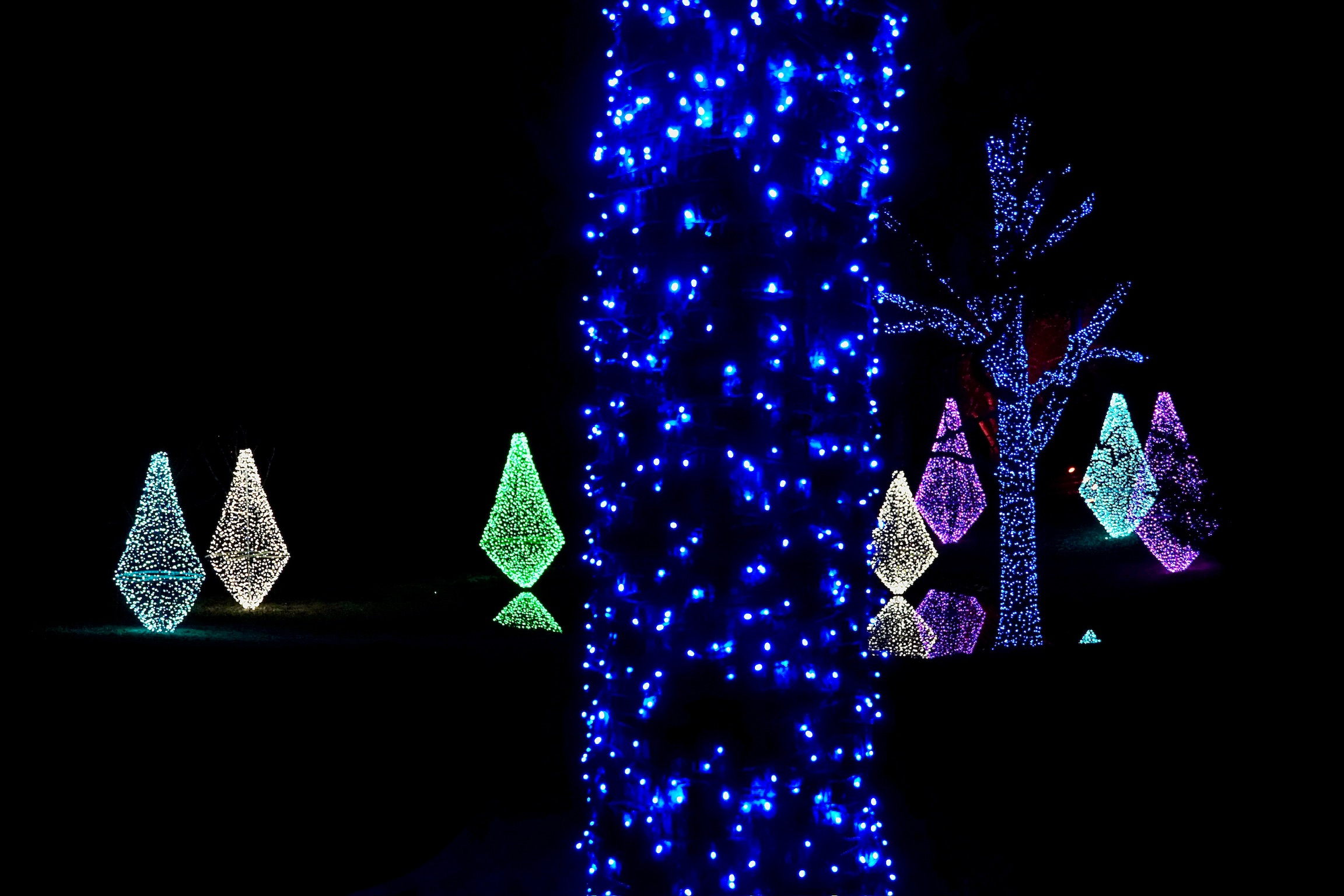 A tree trunk wrapped in blue string lights stands in the foreground, with diamond-shaped light displays in green, white, purple, and pink visible in the background at night.
