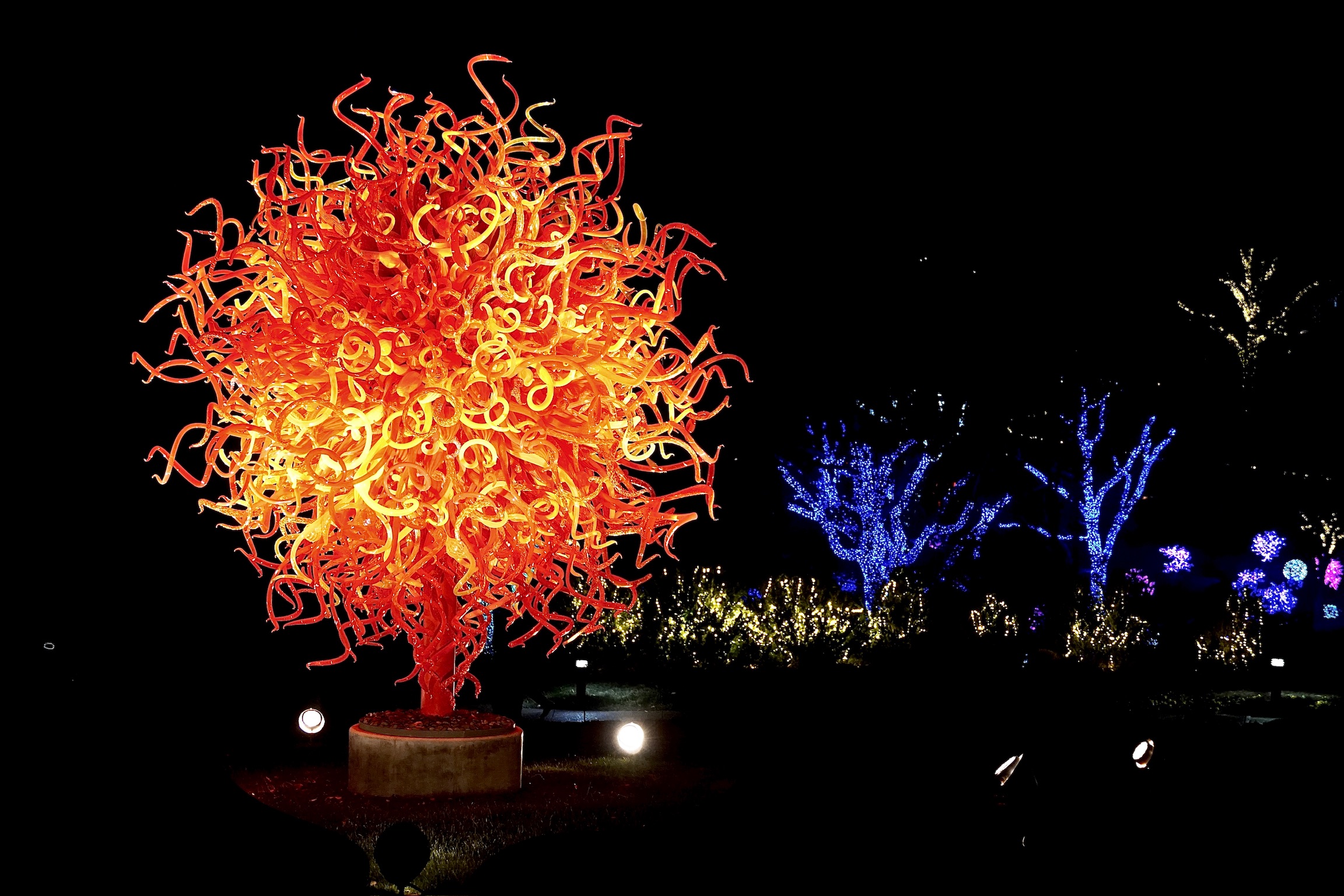 Large, intricate orange glass sculpture displayed outdoors at night in Nashville, illuminated by spotlights, with blue-lit trees and plants in the background.
