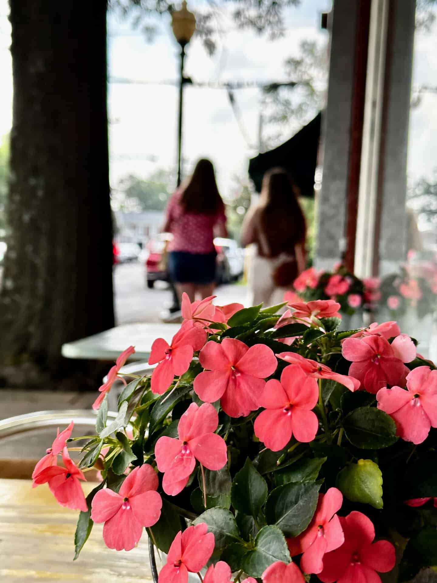 Pink flowers in focus on a table by a window, overlooking a bustling Nashville street scene. Two people stroll along the sidewalk, enjoying the lively atmosphere.