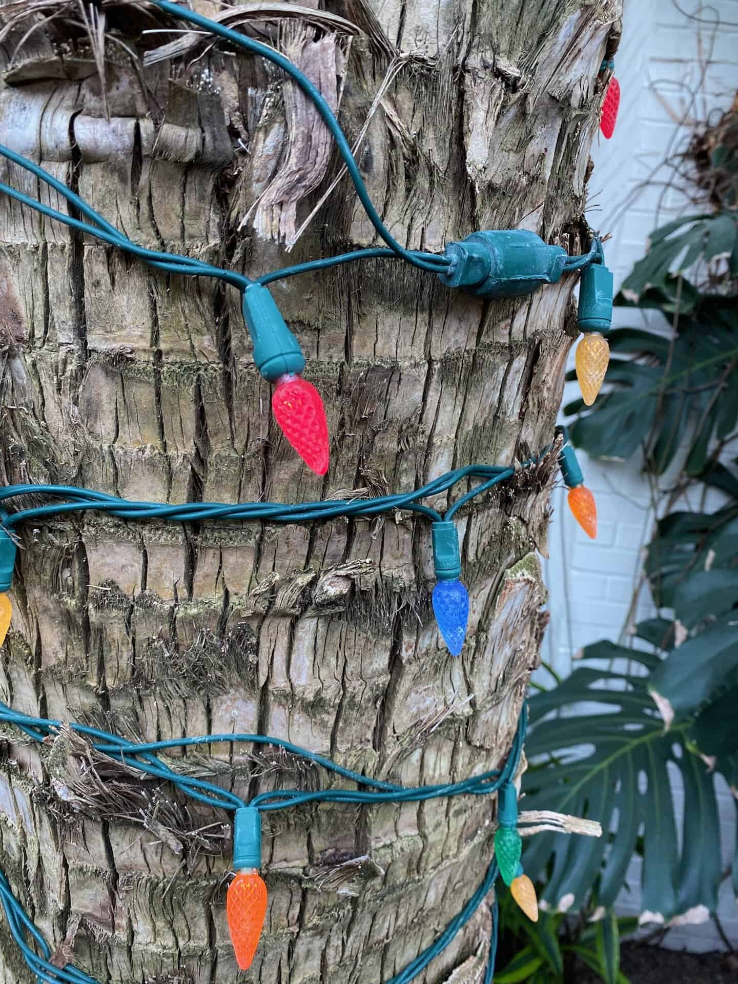 Colorful string lights wrapped around a tree trunk, with various colored bulbs including red, blue, and yellow. Green foliage is visible in the background.