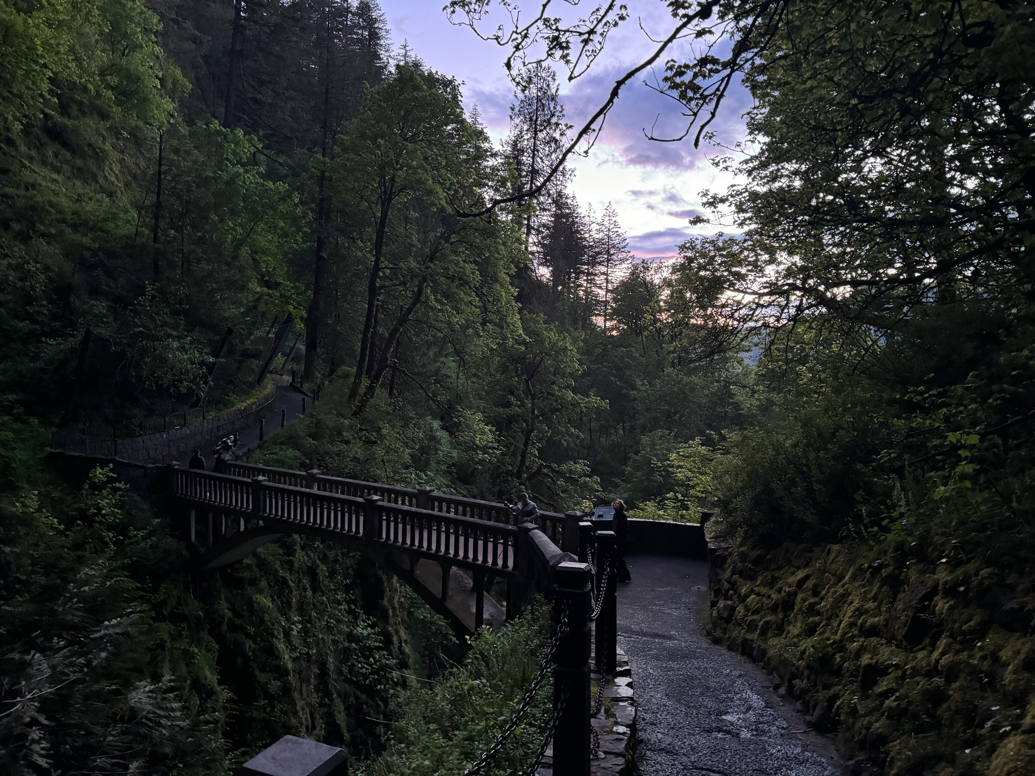 A stone bridge crosses a forested ravine at dusk, surrounded by tall trees and dense greenery under a cloudy sky.