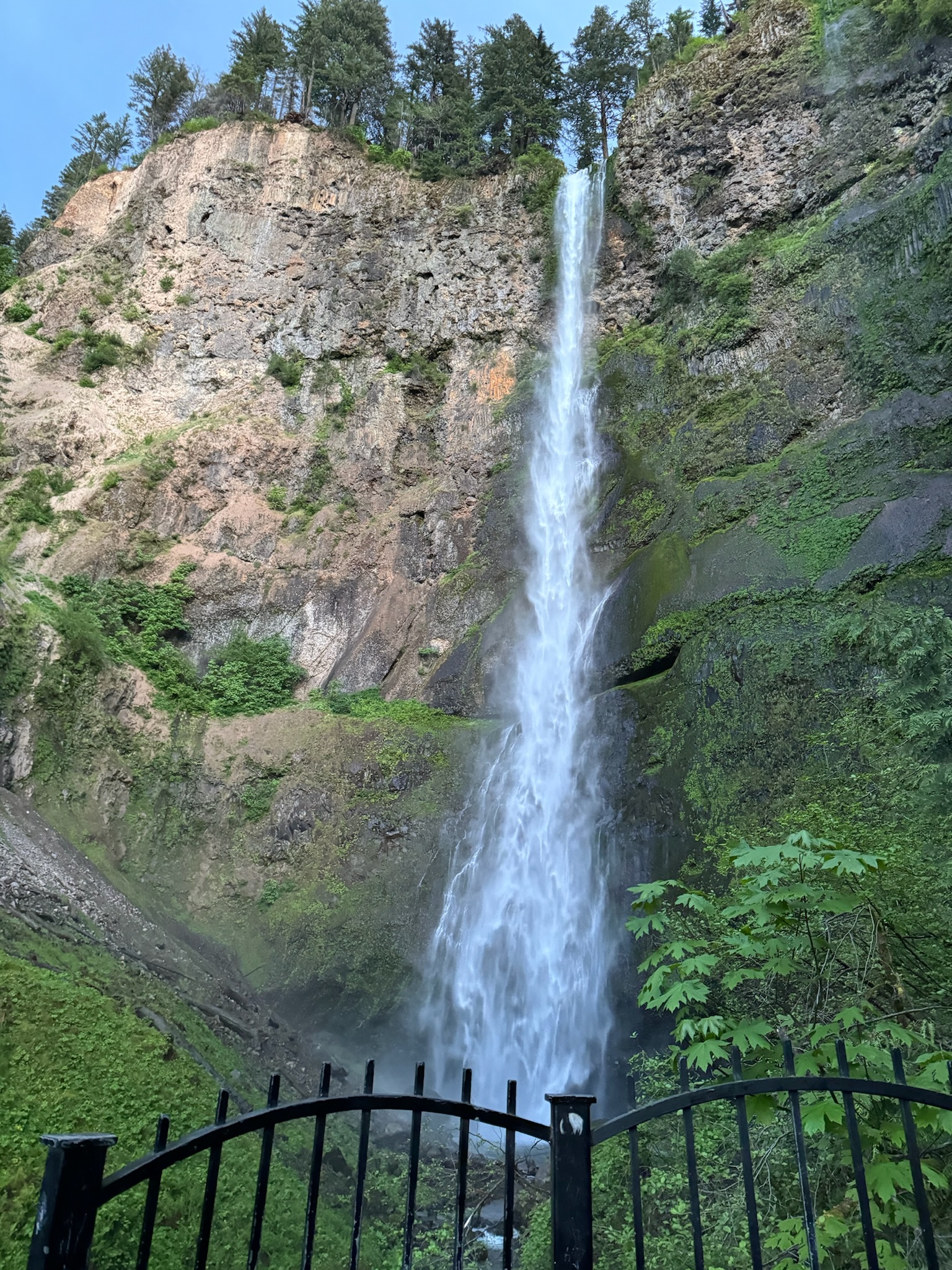 Tall waterfall cascades down a rocky cliff surrounded by greenery, with a black metal fence in the foreground and trees at the top of the cliff.