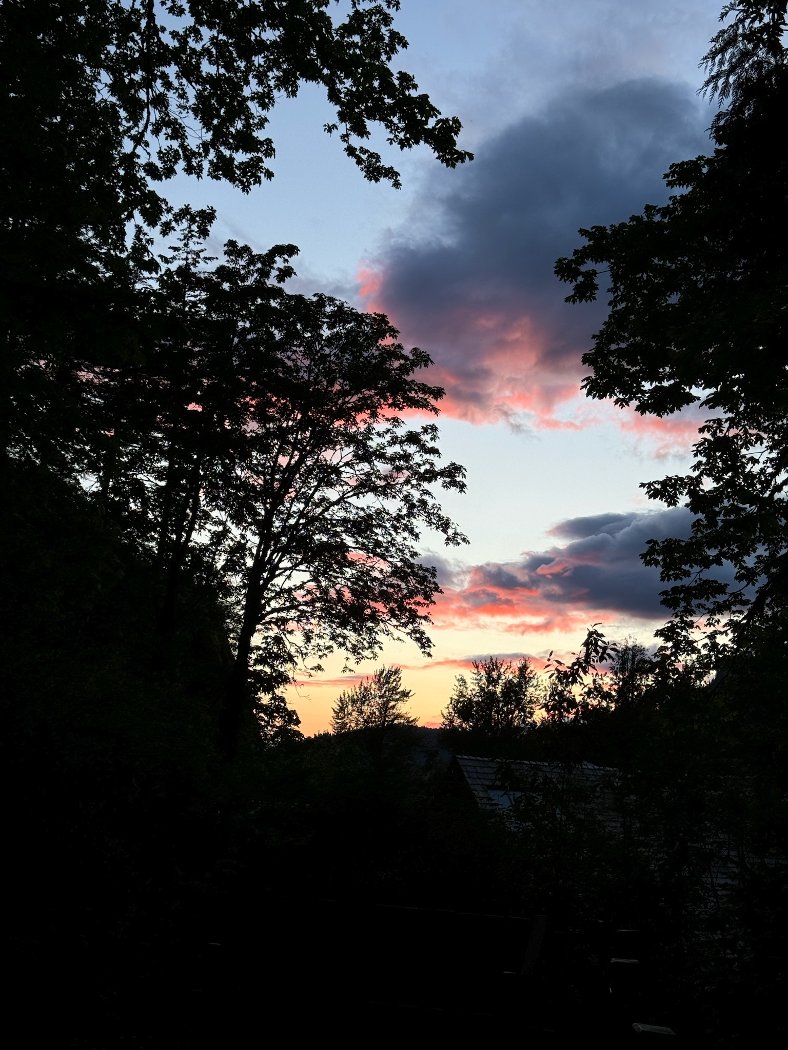 Silhouetted trees frame a sunset sky with scattered clouds tinted pink and purple, while the horizon glows with soft yellow and orange light.