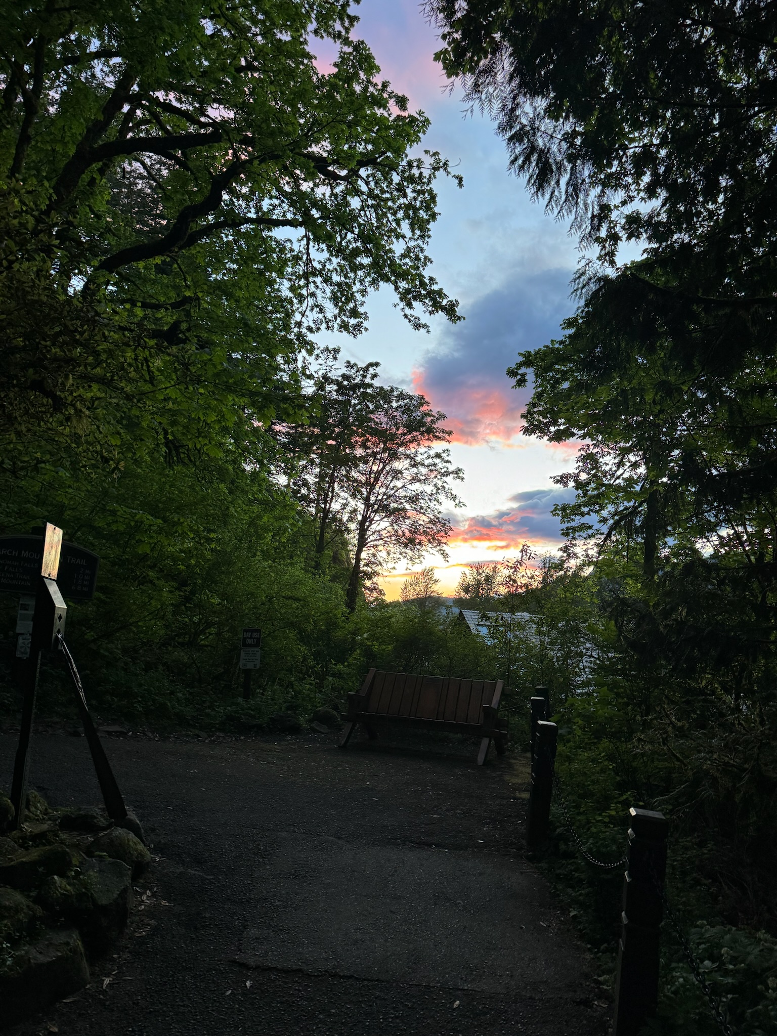 A wooden bench sits on a paved path surrounded by dense green trees, with a colorful sunset visible through the foliage in the background.