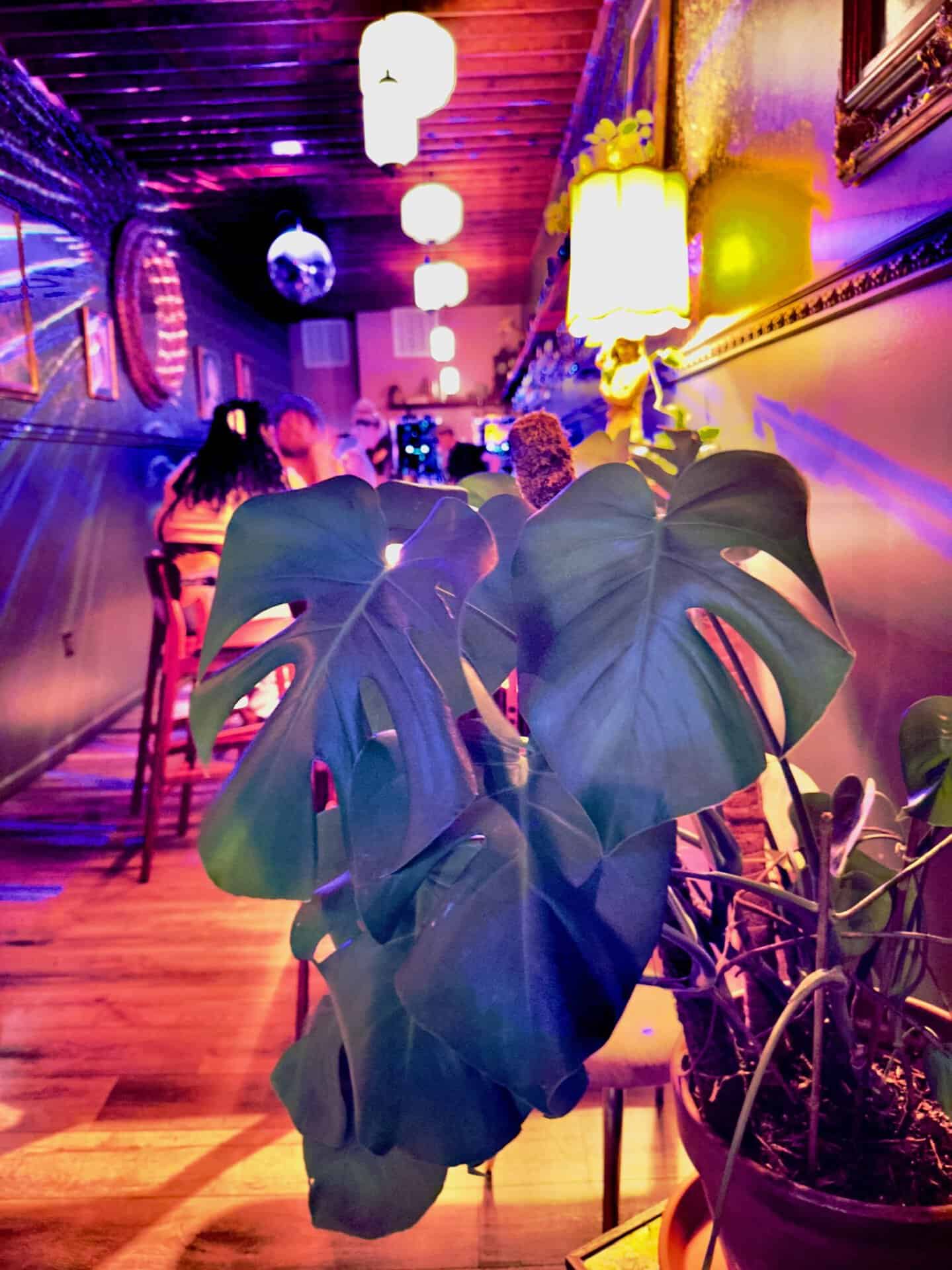 A dimly lit restaurant in Nashville features a large monstera plant in the foreground. Tables and people are visible in the background under colorful lighting.