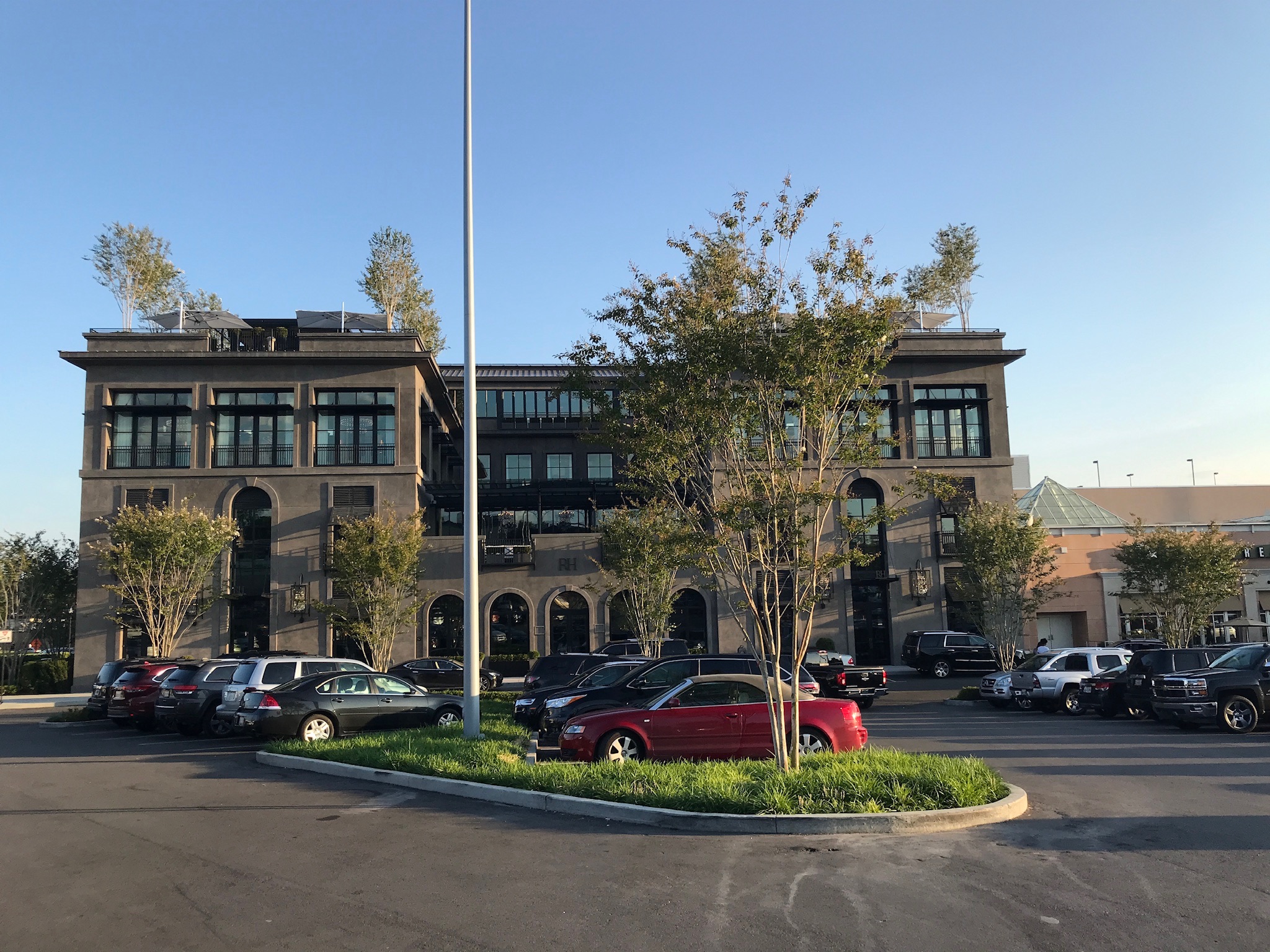 A three-story commercial building with large windows, trees planted on the roof, and parked cars in front under a clear sky.