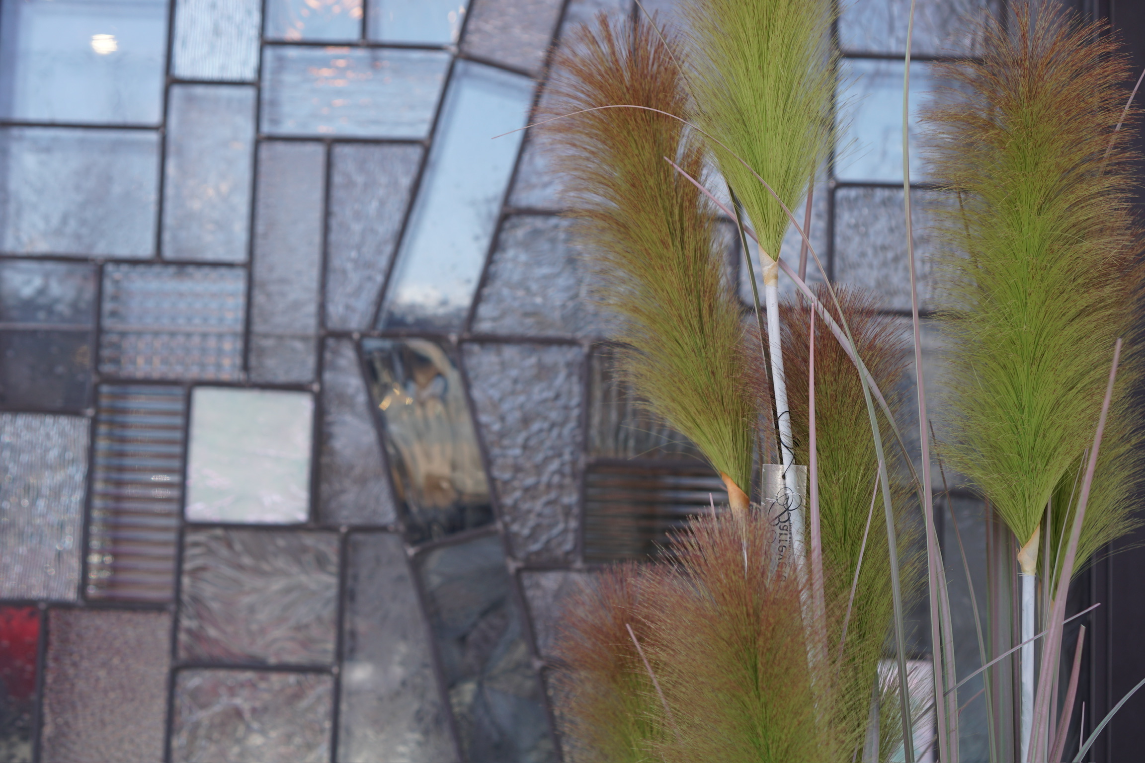 Ornamental grass with green and reddish plumes in front of a geometric stained glass window with textured and frosted panels.