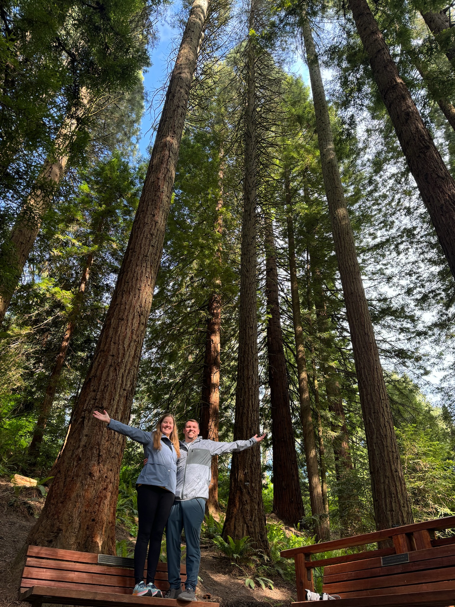 Two people stand with arms outstretched on a bench in a forest of tall redwood trees, with sunlight filtering through the branches above.
