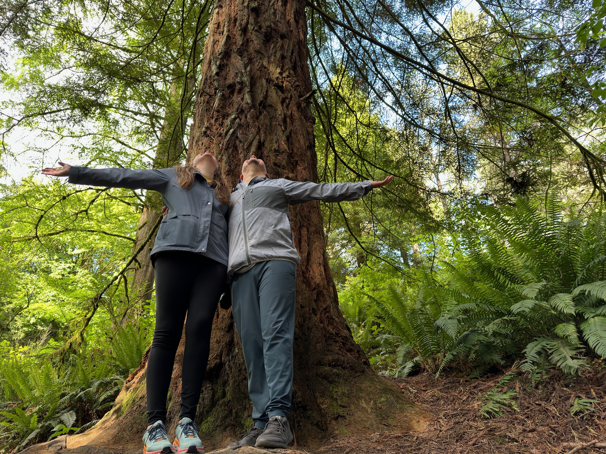 Two people stand with arms outstretched and heads tilted back at the base of a large tree in a lush, green forest.