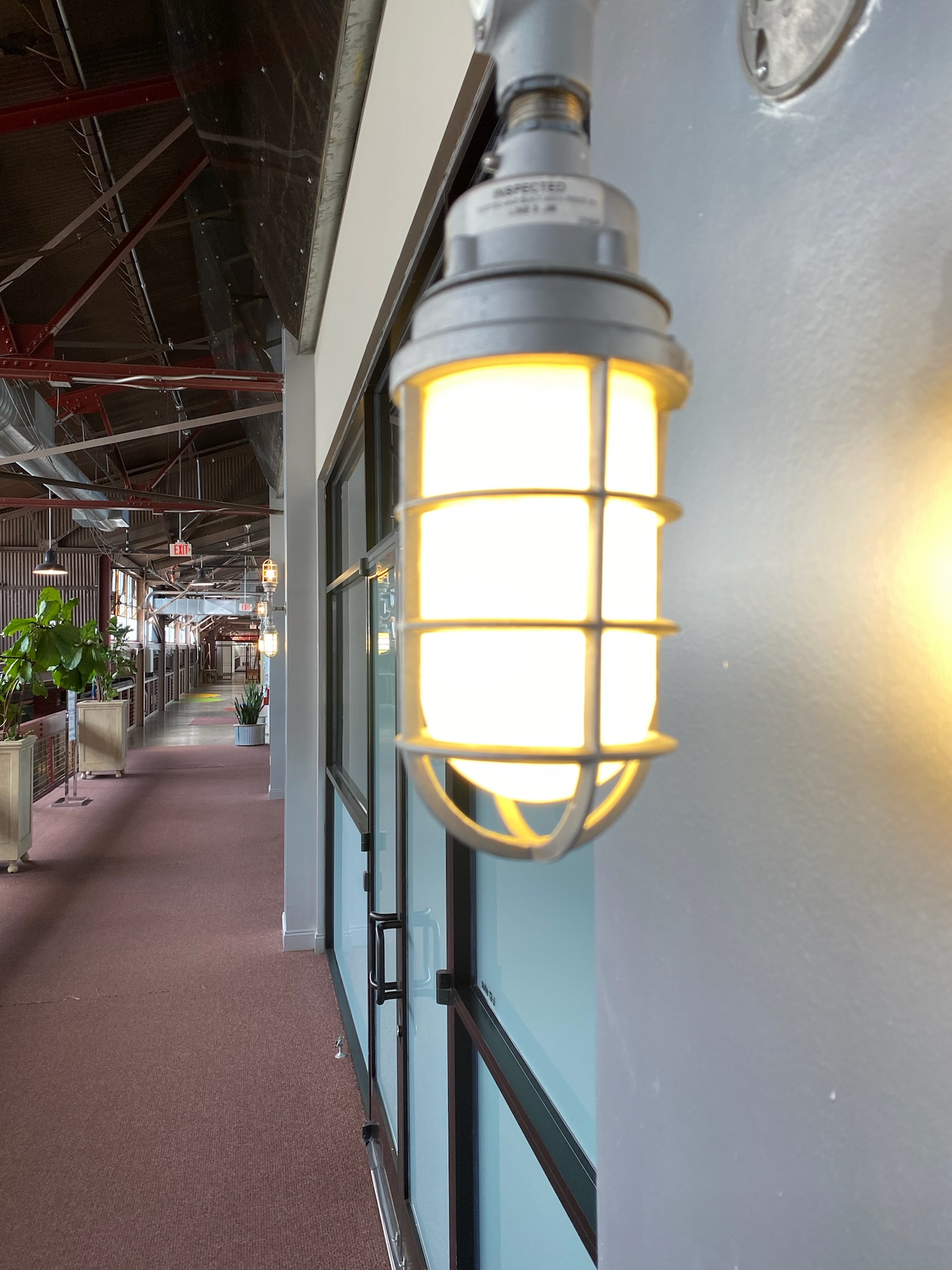 A close-up of an industrial-style wall-mounted light fixture illuminated in a hallway with glass doors and plants.